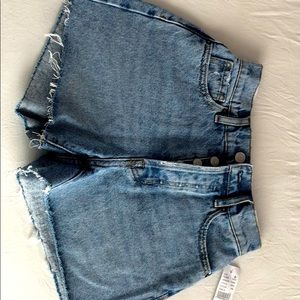 Pacsun High Rise Icon Short